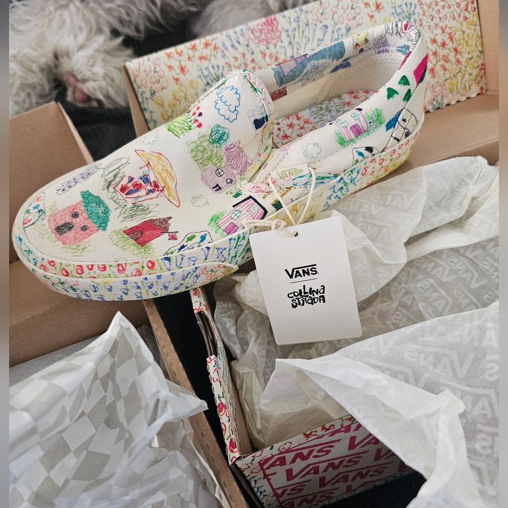 Vans Colorful Slip-On Sneakers